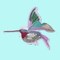 1 Patch Colorful Hummingbird Sequins Embroidery Iron On Wings Bird Applique